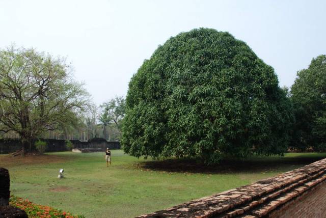 Sukhothai 056, Сукхотхай и Си Сатчаналай