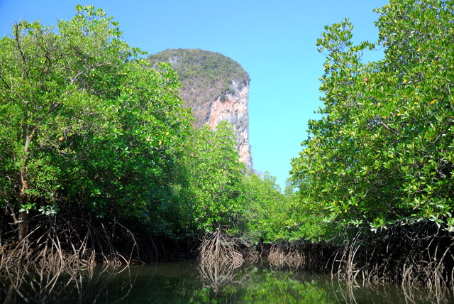 DSC_7850, Пханг Нга (Phang Nga)