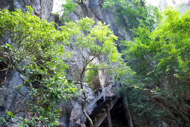     9, Nang Phan Thu Rut Natural Trail