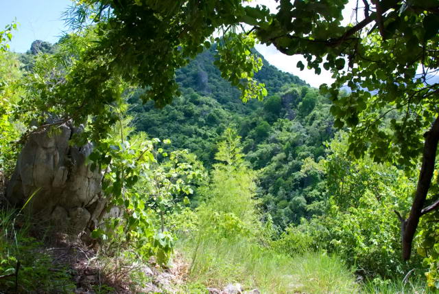     46, Nang Phan Thu Rut Natural Trail