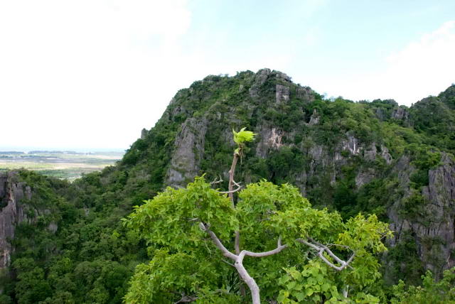     60, Nang Phan Thu Rut Natural Trail