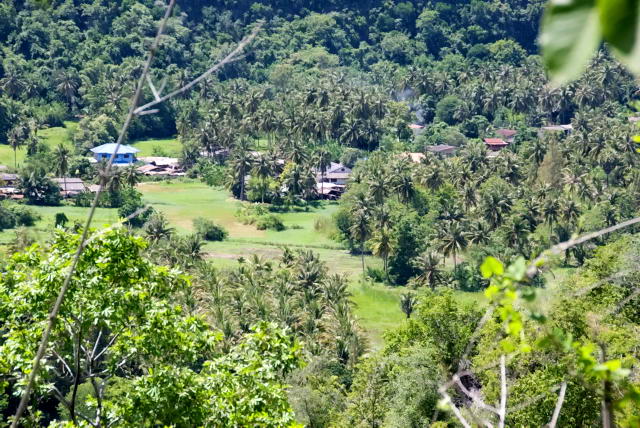     38, Nang Phan Thu Rut Natural Trail