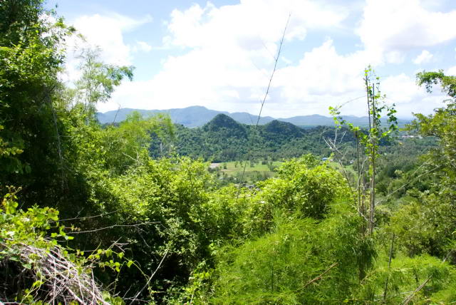     40, Nang Phan Thu Rut Natural Trail