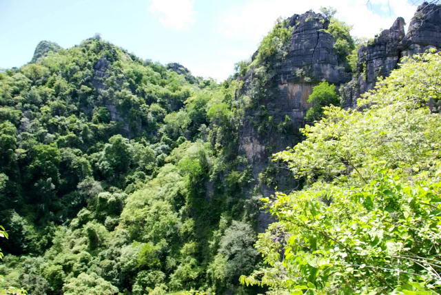     31, Nang Phan Thu Rut Natural Trail