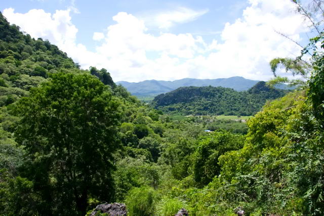     36, Nang Phan Thu Rut Natural Trail