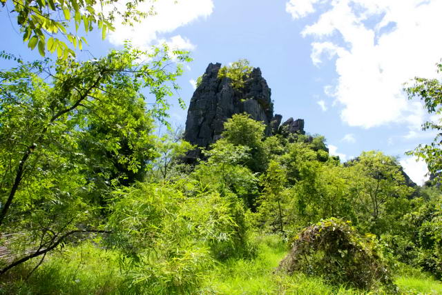     30, Nang Phan Thu Rut Natural Trail