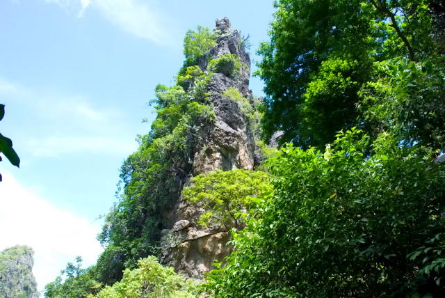     8, Nang Phan Thu Rut Natural Trail