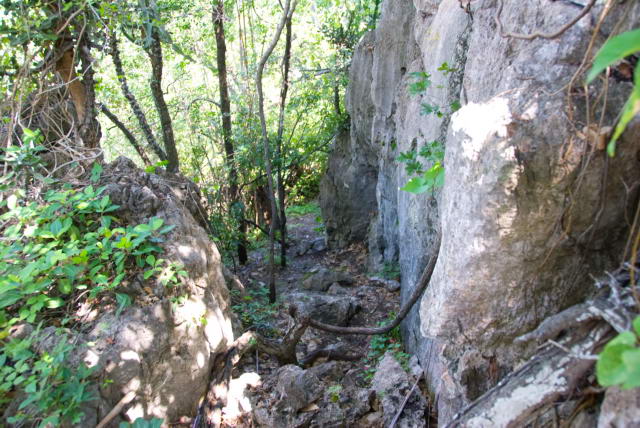     42, Nang Phan Thu Rut Natural Trail