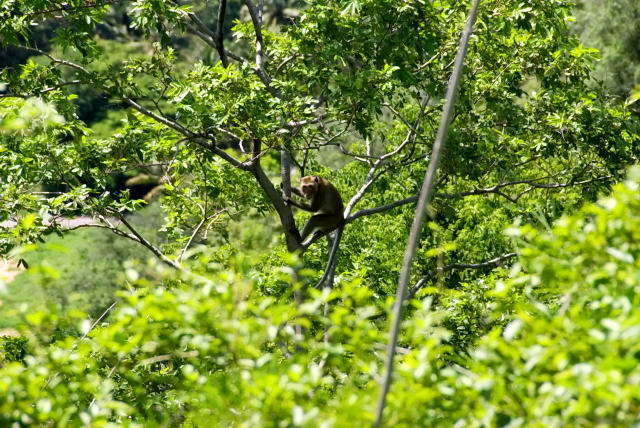     39, Nang Phan Thu Rut Natural Trail