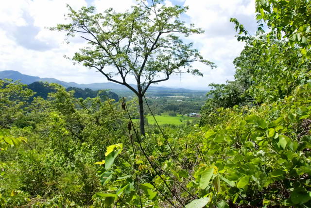     44, Nang Phan Thu Rut Natural Trail