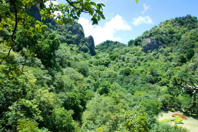     14, Nang Phan Thu Rut Natural Trail