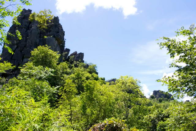     34, Nang Phan Thu Rut Natural Trail