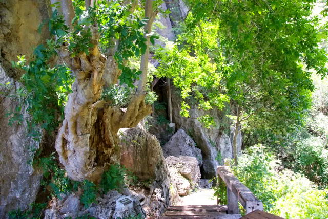     15, Nang Phan Thu Rut Natural Trail