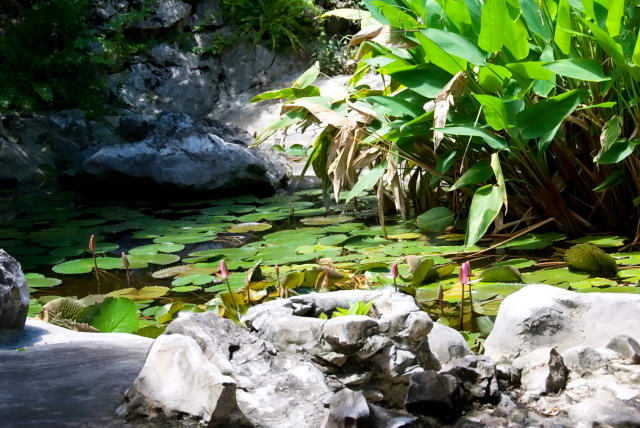     26, Nang Phan Thu Rut Natural Trail