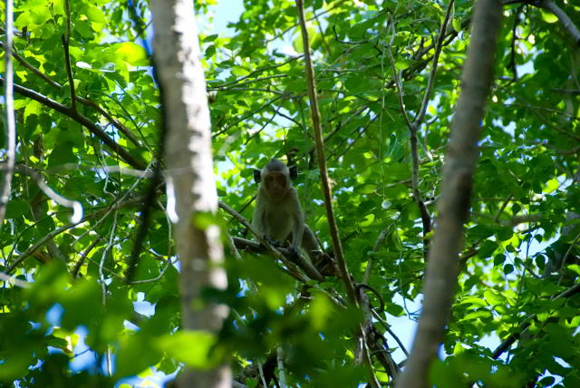     27, Nang Phan Thu Rut Natural Trail