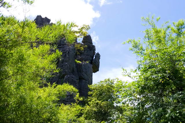     33, Nang Phan Thu Rut Natural Trail