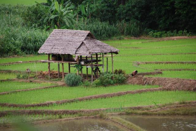 Mountains and valleys, Mae Hong Son 43, Мае Хонг Сон