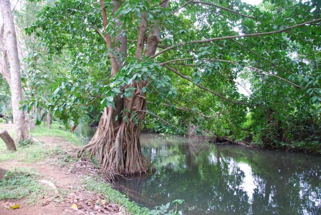 Tham Pla, Mae Hong Son 10, Мае Хонг Сон