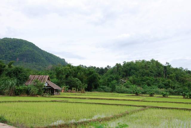 Mountains and valleys, Mae Hong Son 34, Мае Хонг Сон