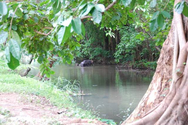 Tham Pla, Mae Hong Son 11, Мае Хонг Сон