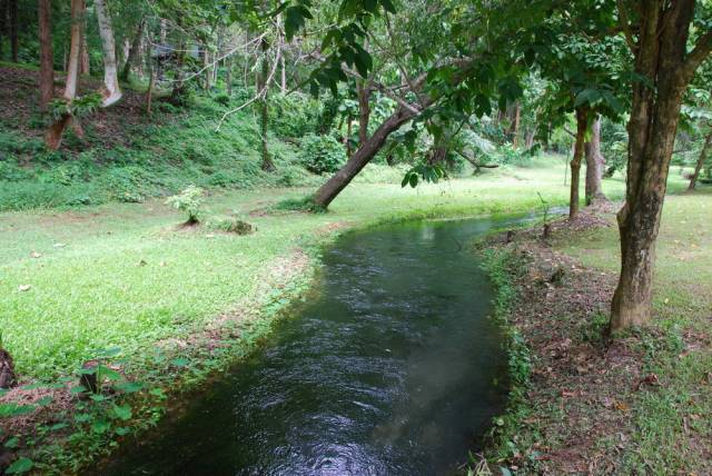 Tham Pla, Mae Hong Son 93, Мае Хонг Сон