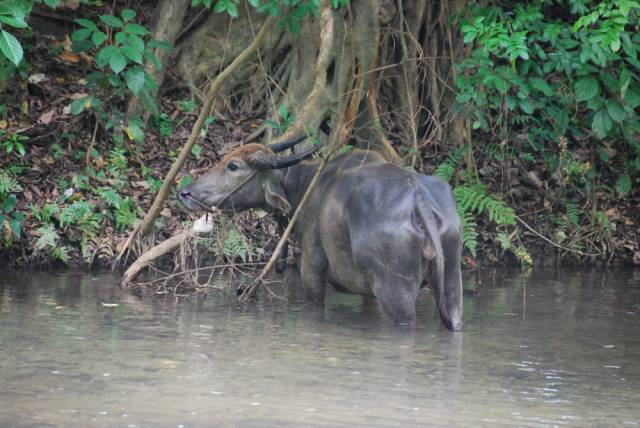 Tham Pla, Mae Hong Son 23, Мае Хонг Сон