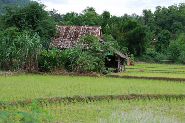 Mountains and valleys, Mae Hong Son 38, Мае Хонг Сон