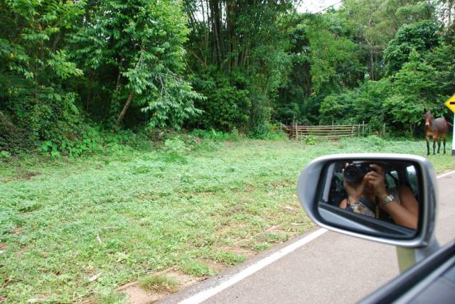 King Ranch in Mae Hong Son 30, Мае Хонг Сон