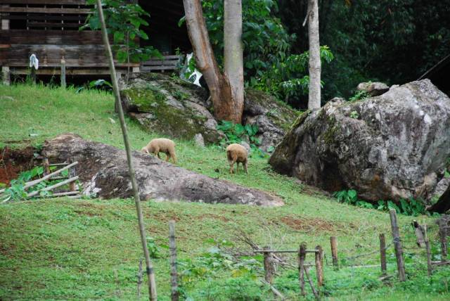 King Ranch in Mae Hong Son 33, Мае Хонг Сон