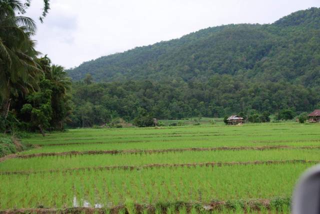 Mountains and valleys, Mae Hong Son 36, Мае Хонг Сон