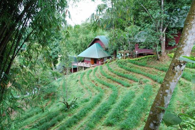 King Ranch in Mae Hong Son 25, Мае Хонг Сон