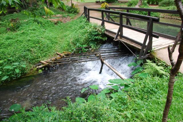 Tham Pla, Mae Hong Son 79, Мае Хонг Сон