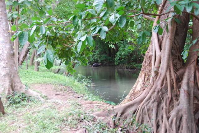 Tham Pla, Mae Hong Son 12, Мае Хонг Сон