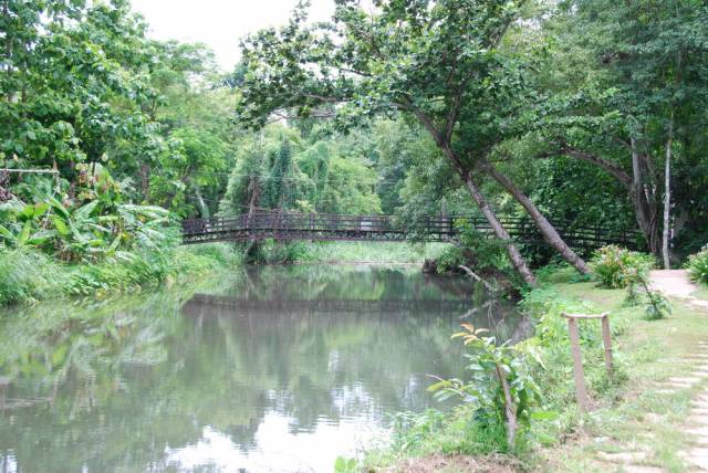 Tham Pla, Mae Hong Son 91, Мае Хонг Сон