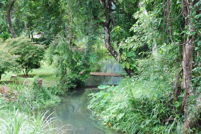 Tham Pla, Mae Hong Son 07, Мае Хонг Сон