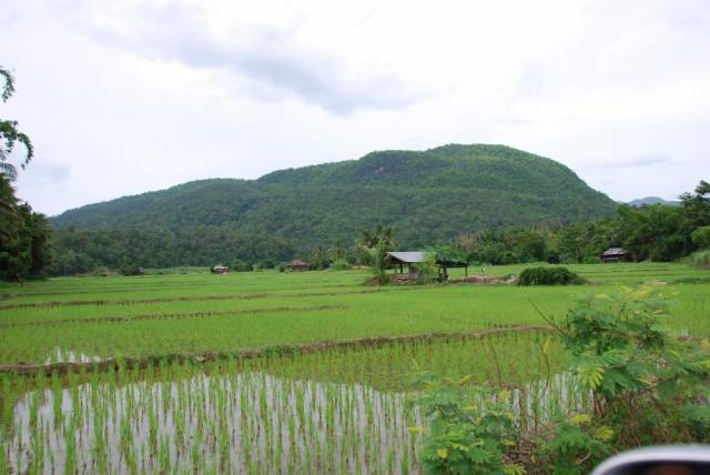 Mountains and valleys, Mae Hong Son 37, Мае Хонг Сон