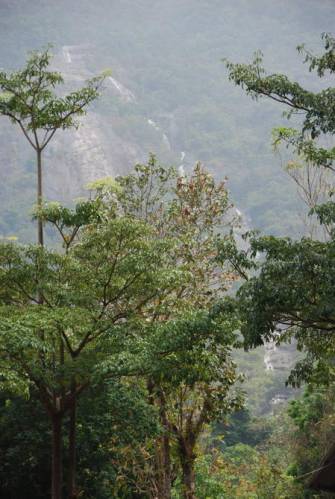 Ngao Waterfall_Ranong 23, Ранонг