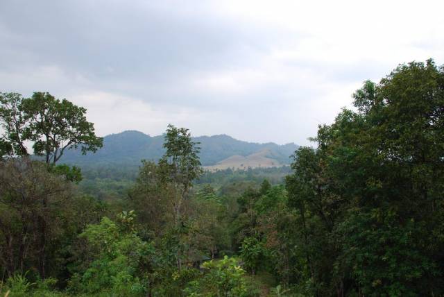 Phu Khao Ya_Grass Hill_Ranong 11, Ранонг