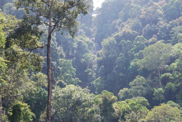 Ton Phet Waterfall_Ranong 01, Ранонг