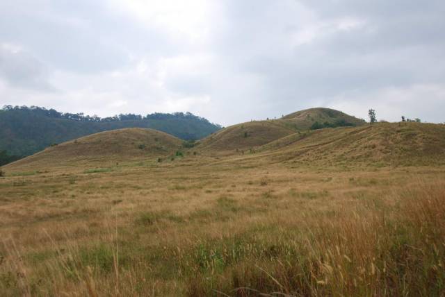 Phu Khao Ya_Grass Hill_Ranong 08, Ранонг