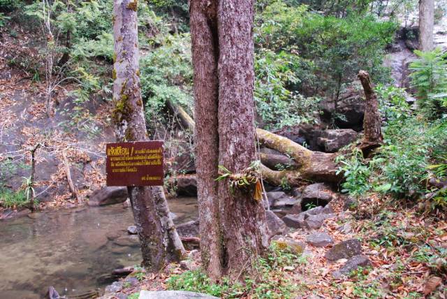 Ngao Waterfall_Ranong 08, Ранонг