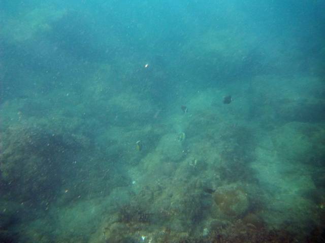 Koh Phayam_Underwater_Ranong 45, Koh Phayam (остров Пайям, Ранонг)