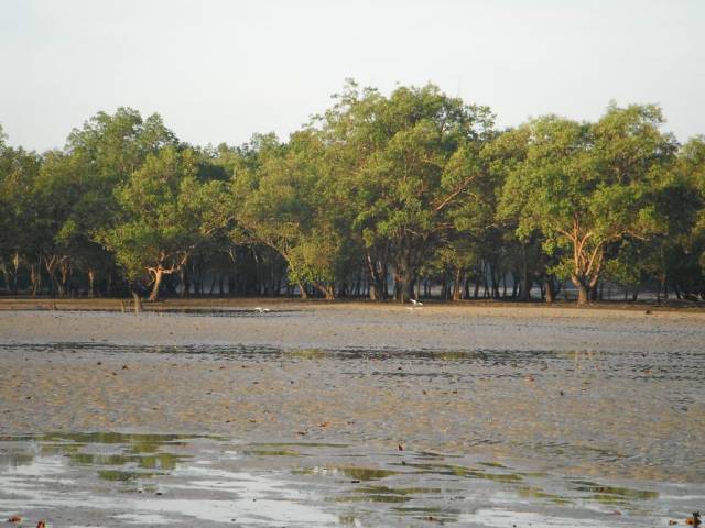 Koh Phayam_Ao Khao Kwai_Sunrise 20, Koh Phayam (остров Пайям, Ранонг)