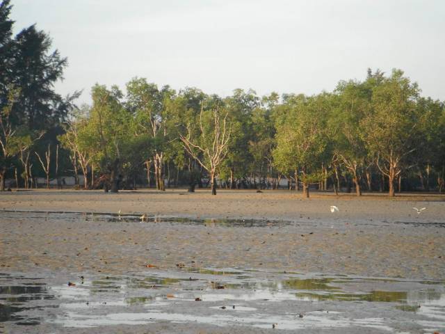 Koh Phayam_Ao Khao Kwai_Sunrise 19, Koh Phayam (остров Пайям, Ранонг)