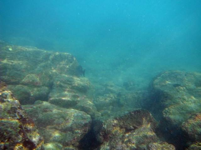 Koh Phayam_Underwater_Ranong 35, Koh Phayam (остров Пайям, Ранонг)