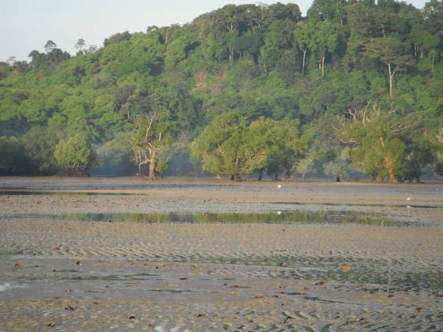 Koh Phayam_Ao Khao Kwai_Sunrise 21, Koh Phayam (остров Пайям, Ранонг)