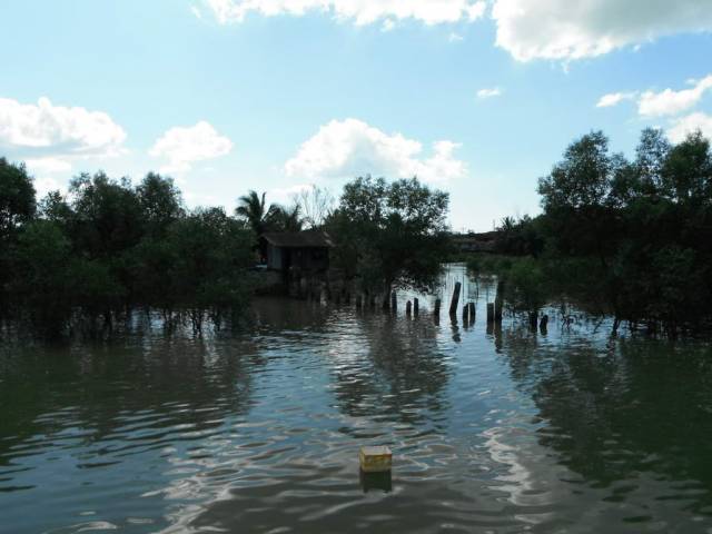 Ferry Ranong to Koh Phayam 13, Koh Phayam (остров Пайям, Ранонг)