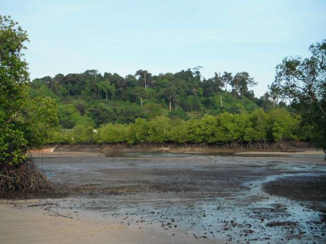 Koh Phayam_Ao Khao Kwai_Outflow 26, Koh Phayam (остров Пайям, Ранонг)