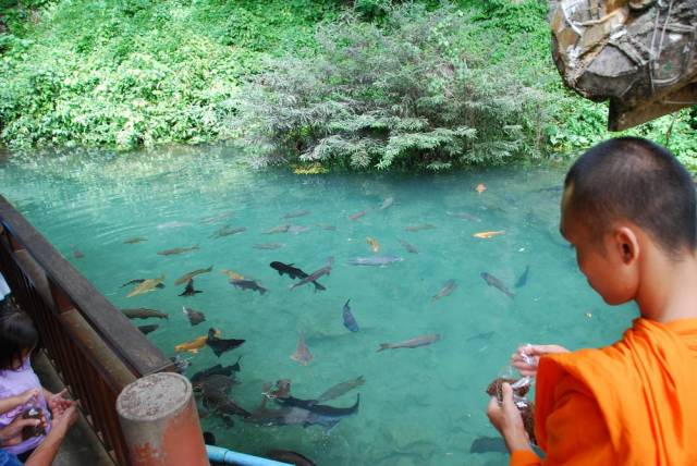 Chiang Dao Cave_Chiang Mai 018, Пещеры Чианг Дао, Чианг Май