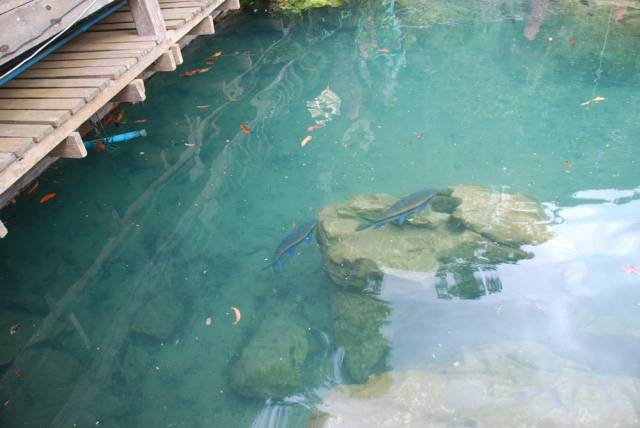 Chiang Dao Cave_Chiang Mai 011, Пещеры Чианг Дао, Чианг Май